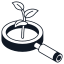 Magnifying Glass Icon